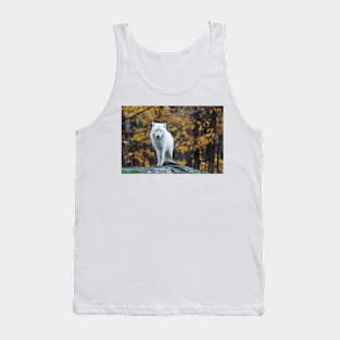 Arctic Wolf - Parc Omega, Quebec Tank Top